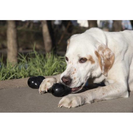 KONG Extreme Goodie Bone Gumi Csont Kutyajáték L