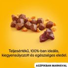 Pedigree Konzerv Marha 400g