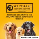 Pedigree Konzerv Marha 400g