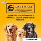 Pedigree Konzerv Junior Csirke 400g