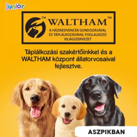 Pedigree Konzerv Junior Csirke 400g