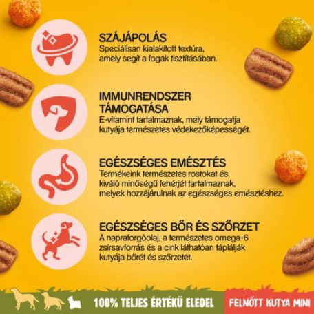 Pedigree Száraz Mini Marha-Zöldség 12kg