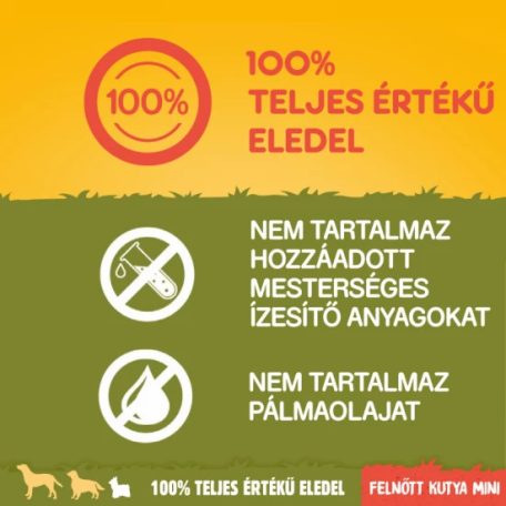 Pedigree Száraz Mini Marha-Zöldség 12kg