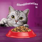 Whiskas száraz macskaeledel marhával 14kg