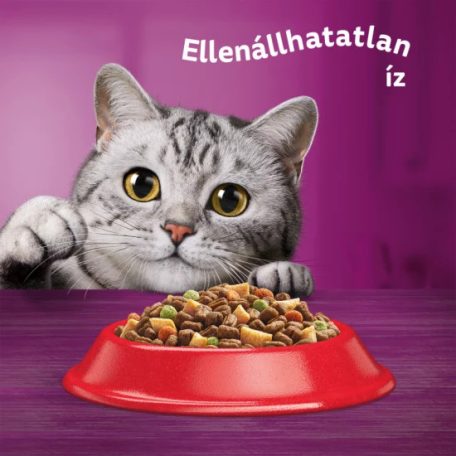 Whiskas száraz macskaeledel marhával 14kg