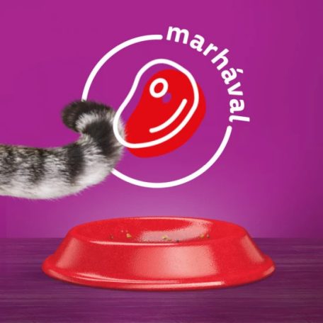 Whiskas száraz macskaeledel marhával 14kg