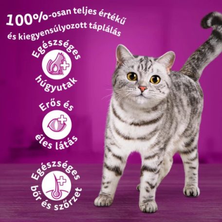 Whiskas száraz macskaeledel csirkével 14kg