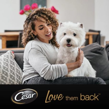 Cesar alutasak Multipack válogatás mártásban 4x100g