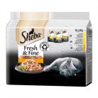 Sheba Mini 15x50g szárnyas Multipack