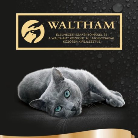 Sheba Mini 15x50g szárnyas Multipack