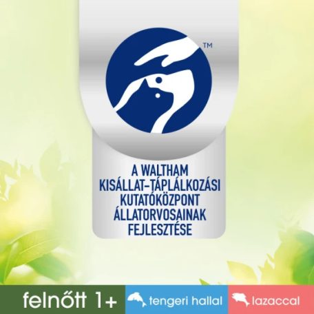 PERFECT FIT mini tasakos lazac & oceani halas 6x50g Multipack