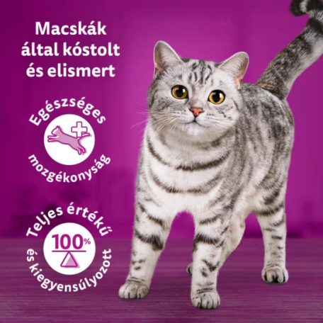 Whiskas alutasak Multipack Tasty Mix Chef's choice mártásban 12x85g