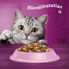 Whiskas Száraz Steril Lazac 1,4kg