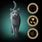 SHEBA Fresh&Fine csirke+6pulyka+kacsa 6x50g