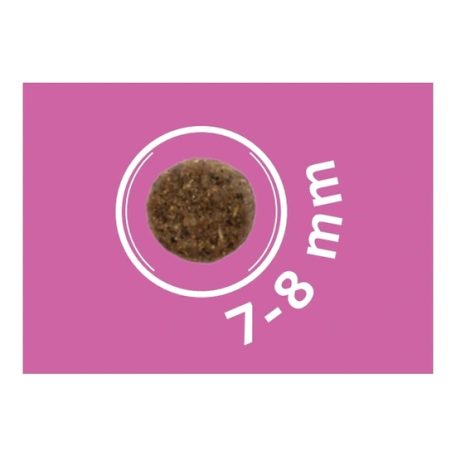 Dog Vital Hipoallergén Adult Mini Lamb,apple&blueberry 12+2kg grátisz