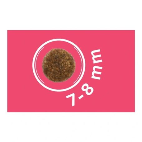 Dog Vital Hipoallergén Adult Mini Pork,apple&blueberry 12+2kg grátisz