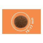 Dog Vital Hipoallergén Adult Medium&Maxi Lamb,spinach&pumpkin 12+2kg grátisz