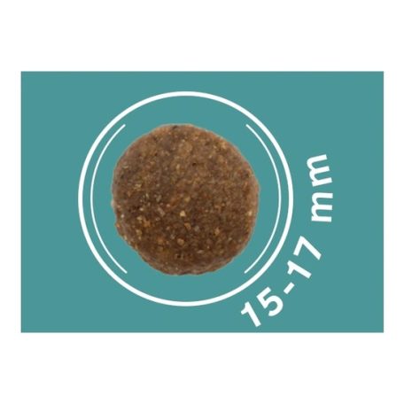 Dog Vital Hipoallergén Adult Medium&Maxi Salmon,carrot&spinach 12+2kg grátisz