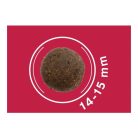 Dog Vital Hipoallergén Top Energy Adult Medium&Maxi Pork, blueberry&spinach 12+2kg grátisz