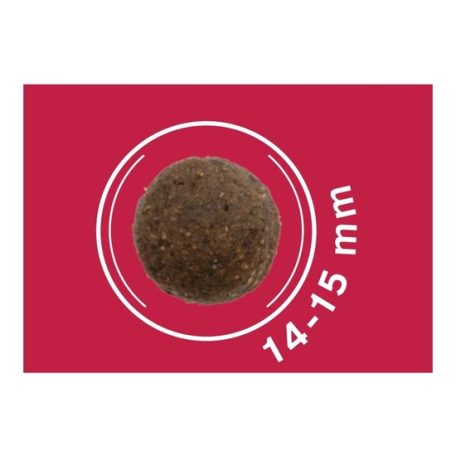 Dog Vital Hipoallergén Top Energy Adult Medium&Maxi Pork, blueberry&spinach 12+2kg grátisz