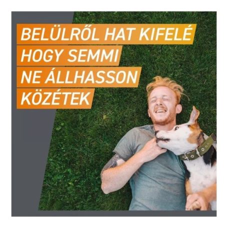 Frontpro 11,3 mg rágótabletta 2-4 kg 3X