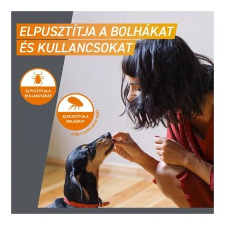 Frontpro 28,3 mg rágótabletta 4-10 kg 3X