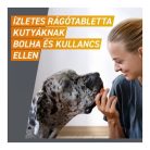 Frontpro 136 mg rágótabletta 25-50 kg 3X