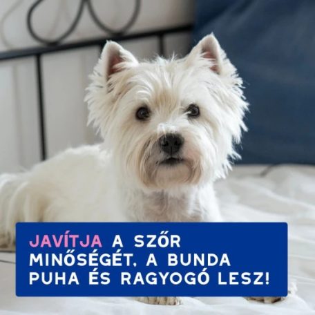 Douxo Spa Viszketéscsillapító sampon kutyáknak   250ml