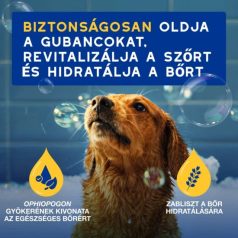 Douxo Spa Hidratáló kondicionáló kutyáknak 250ml