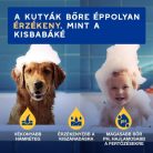 Douxo Spa Hidratáló kondicionáló kutyáknak 250ml