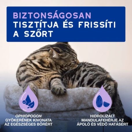 Douxo Spa Lemosást nem igénylő frissítő hab macskáknak 150ml