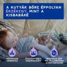 Douxo Spa Lemosást nem igénylő frissítő hab macskáknak 150ml