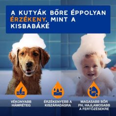 Douxo Spa Gubancoldó spray kutyáknak  295ml