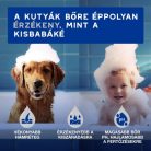 Douxo Spa Nedves törlőkendő kutyáknak és macskáknak 100db