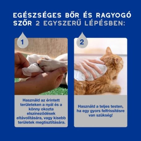 Douxo Spa Nedves törlőkendő kutyáknak és macskáknak 100db