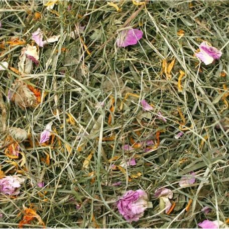 JR Farm Széna nyári mező 500g