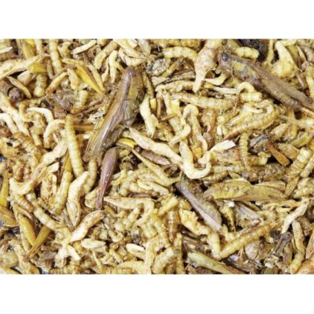 JR Farm Fehérje koktél 10g