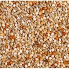 JR Farm Classic Hullámos papagáj 1kg