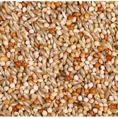 JR Farm Classic Hullámos papagáj 1kg