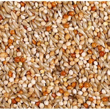 JR Farm Classic Hullámos papagáj 1kg