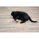 JR Farm Bajor Menta Labda