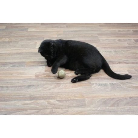 JR Farm Bajor Menta Labda