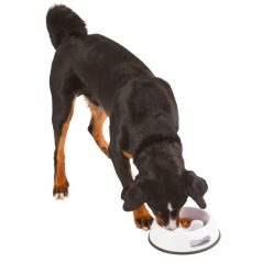 KERBL Habzsolásgátló tál kutyáknak, 1000 ml