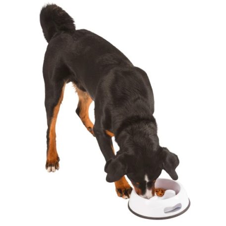 KERBL Habzsolásgátló tál kutyáknak, 1000 ml