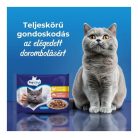 Prevital Alutasakos Macskaeledel Csirke-Lazac 4x100g Multipack