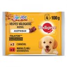 Pedigree alutasak Multipack Junior Csirke & rizs, Marha & rizs 4x100g