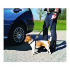 Trixie Biztonsági Öv Xs 20-25cm,fekete