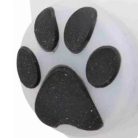 Trixie Nyakörvre Világítós Biléta 2,4x8cm fehér