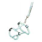 Trixie Hám pórázzal Junior & Puppy M–L: 27–45 cm/10 mm, 2m, menta