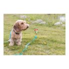 Trixie Kikötő Csiga 40cm/9 Mm